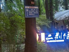 -二荆条·城市森林火锅旗舰店