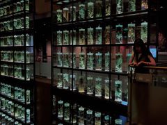 -广东中医药博物馆