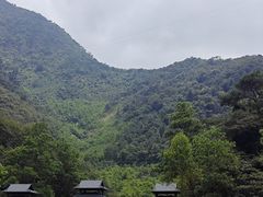 -紫云谷景区
