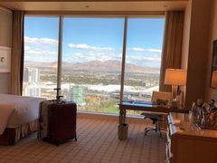 -拉斯维加斯永利酒店