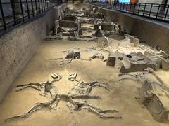 -洛阳周王城天子驾六博物馆