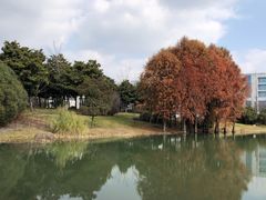 -尚贤河湿地