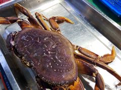 葱油珍宝蟹-宝燕海鲜(好爱店)