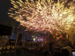 -鸿恩陶然大观园