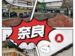 -奈良公园