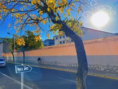 -帽儿山国家森林公园