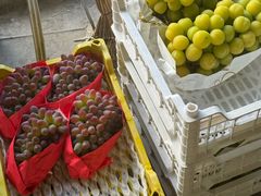 -马陆小张葡萄园农家乐