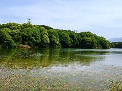 -福建鲤鱼洲酒店