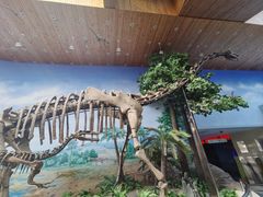 -延庆地质公园博物馆