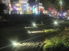 -七宝老街-闵行市民文化广场