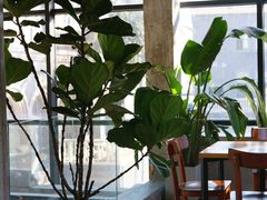 -腾爱熊猫咖啡生活馆(老东门店)