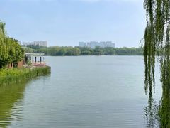 -大兴滨河森林公园