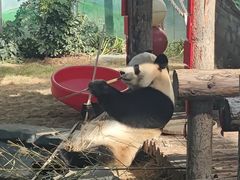 -大连森林动物园