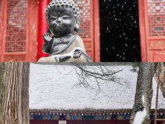 -少华山国家森林公园