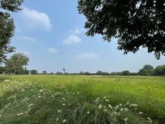 -汉长安城未央宫国家考古遗址公园