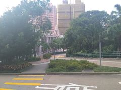 -香港大学