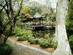 -同济大学-北苑食堂