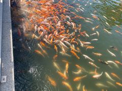 -长春市南湖公园