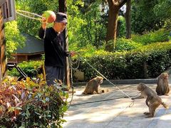 -南京金牛湖风景区