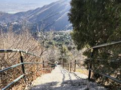 -香山公园