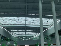-东平国家森林公园