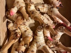 -生如夏花泰式火锅(西村黑金店)
