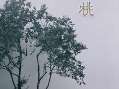 -青桃餐厅