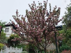 -龟山风景区-龟山电视塔