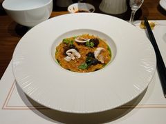 -觀芷隐轩