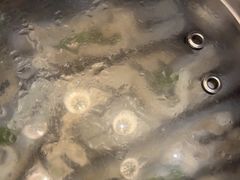 -青蓬蒸汽海鲜·深圳老字号·团建聚会(壹方城店)