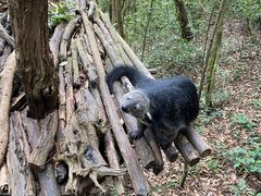 -普洱太阳河森林公园