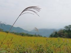 -天姥山