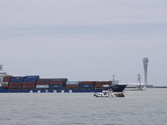 -上海滨江森林公园