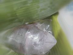 -星星奶冰·汤圆刨冰(王串场店)