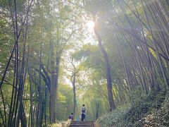 -西湖风景区十里琅珰-五云山