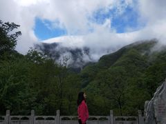 -牛背梁国家森林公园