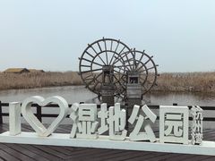 -宁波杭州湾国家湿地公园