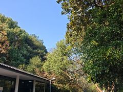-西湖风景区-江洋畈生态公园