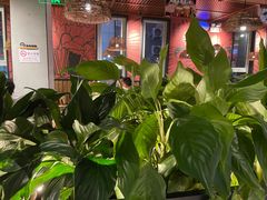 -管氏翅吧(台湾街店)