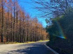 -山王坪喀斯特国家生态公园