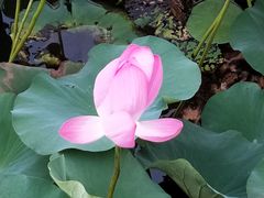 -羊亭河湿地公园