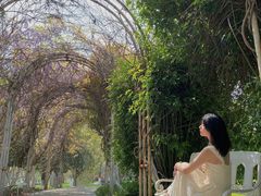 -合肥滨湖国家森林公园