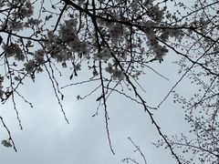 -西北湖绿化广场