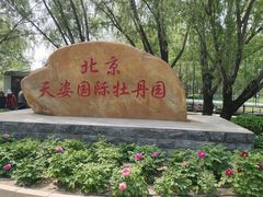 -太阳宫公园