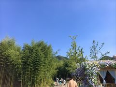 -黄陂区野村谷景区