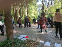 -人民公园-相亲角