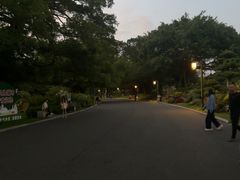 -南宁南湖公园