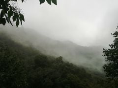 -阳台山自然风景区