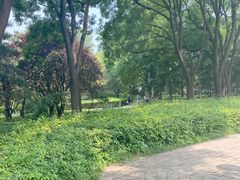 -玲珑塔公园