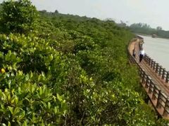 -东寨港红树林旅游区